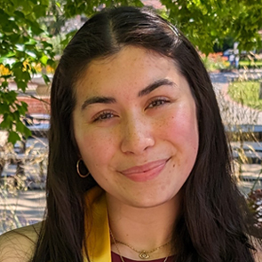 Portrait of ICC Vice Chair: Last Name, First Name